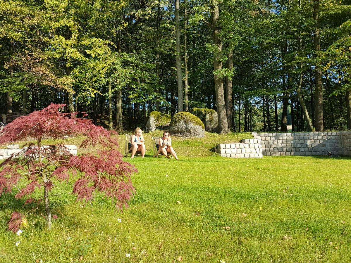 Sarna Karkonosze Lägenhet Bukowiec  Exteriör bild